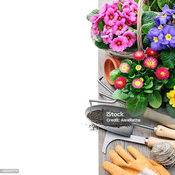 Gardening Stock Photo - Download Image Now - Potting, Variation, Activity