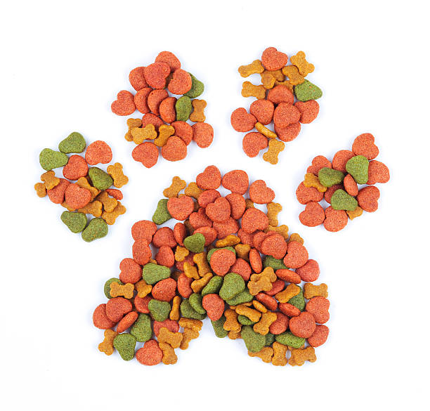 istock dog food isolated 482111871