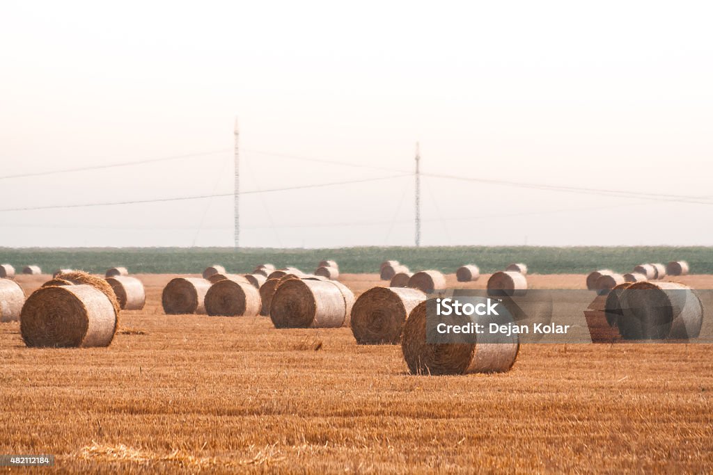 País paisagem fardo de feno lado - Foto de stock de Dourado - Descrição de Cor royalty-free