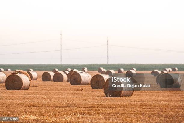 Foto de País Paisagem Fardo De Feno Lado e mais fotos de stock de Dourado - Descrição de Cor - Dourado - Descrição de Cor, 2015, Acre