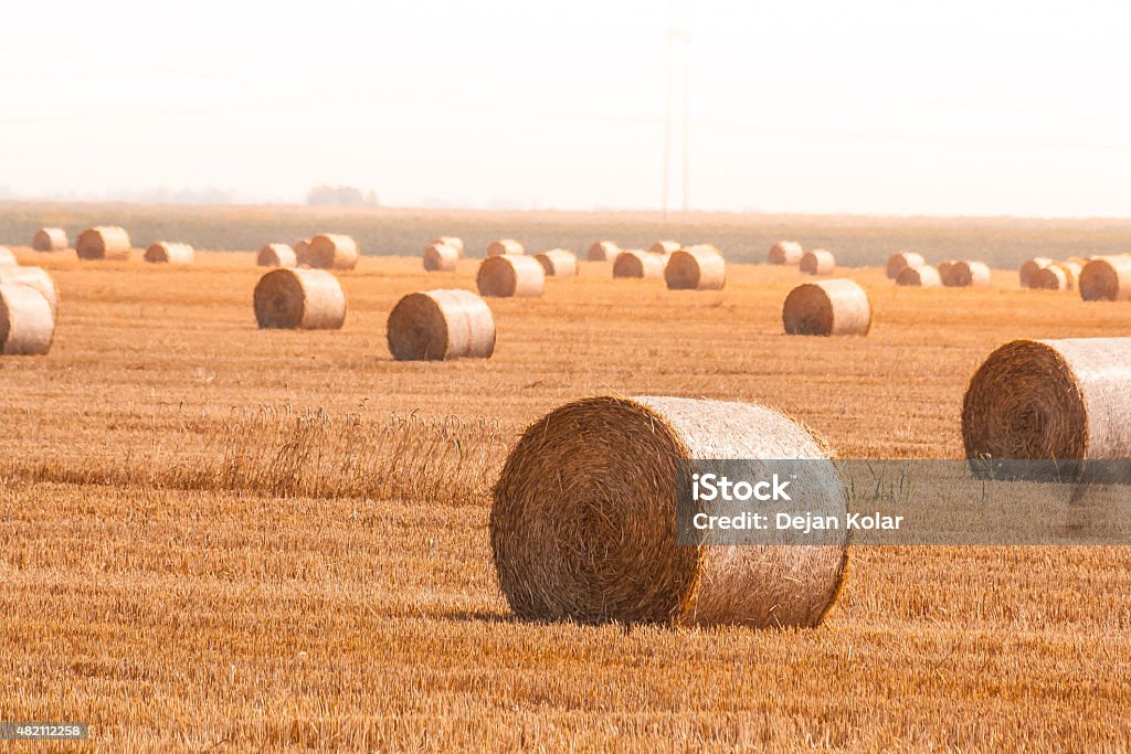 País paisagem fardo de feno lado - Foto de stock de Campo royalty-free