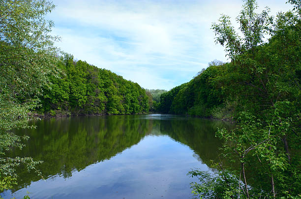 rivière qui coule entre la forêt. - flowing water ripple day plant photos et images de collection