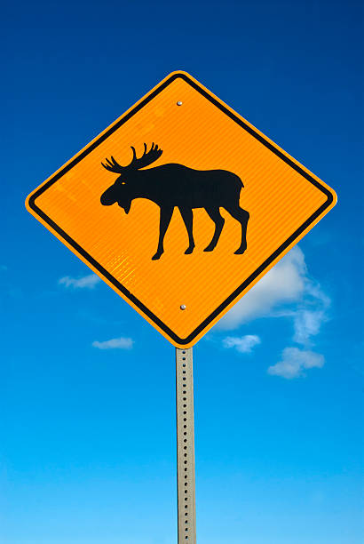 ヘラジカの横断標識 - moose crossing sign ストックフォトと画像