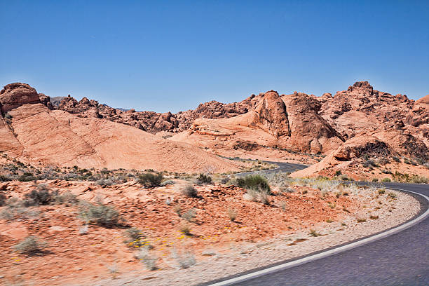istock Winding Road in Valley of Fire 482117631