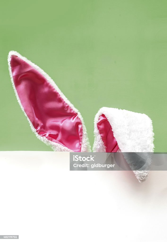 Happy Easter Bunny Ears in front of a white banner Animal Body Part Stock Photo