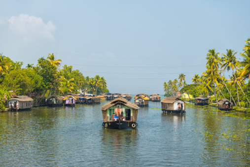 Many house boats sail down the river in backwaters against palms background and blue sky In Alappey, Kerala, India. Kerala state, with a large network of inland canals earning it the sobriquet 