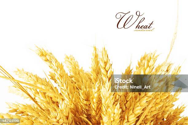Wheat Stock Photo - Download Image Now - 2015, Agriculture, Autumn
