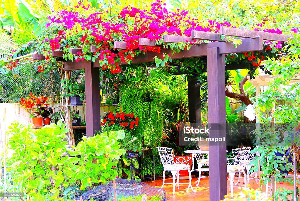 Gazebo. Hi Res. Garden Trellis (Gazebo) with lush greenery and colorful flowers around. Gazebo Stock Photo
