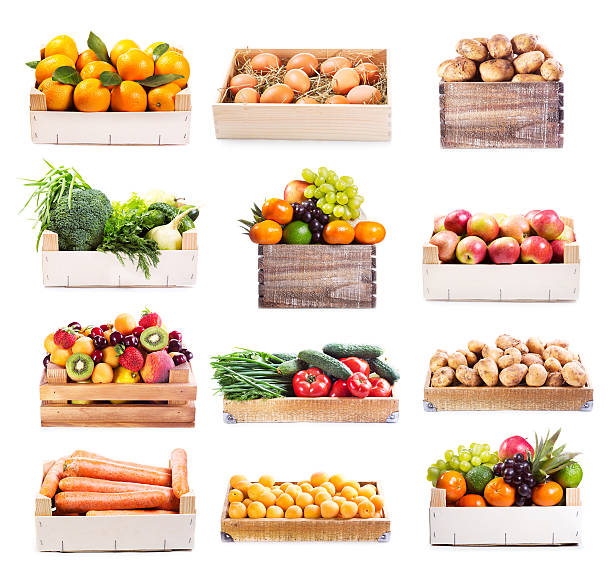 set of various fruits and vegetables stock photo