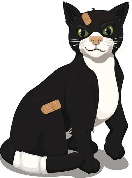 Vector illustration of cat - at the vet