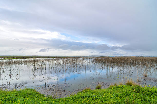 istock Trapani and Paceco nature reserve in Trapani, Italy 482135710