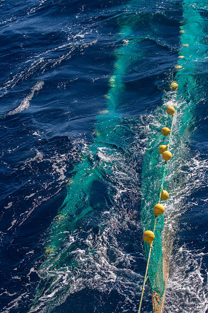 istock Hauling otter trawl fishing nets on board, Atlantic Sea 482135892