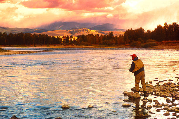 damon angeln auf dem großen blackfoot river in montana - montana stock-fotos und bilder