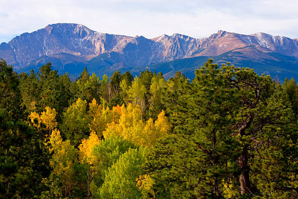 herbst in aspen bäume auf pikes peak in colorado - 14000 foot peak stock-fotos und bilder