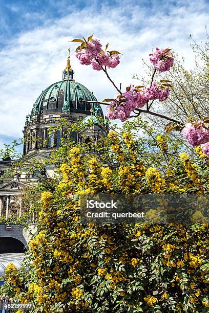 Berliner Dom In Den Frühling Stockfoto und mehr Bilder von Alexanderplatz - Alexanderplatz, Barock, Baum