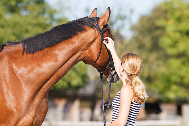 istock Blonde woman with brown gelding 482140048
