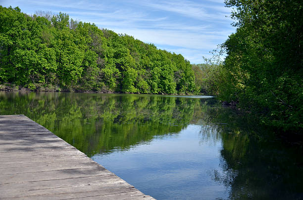 forêt à feuilles caduques au-dessus de la rivière et le pont - flowing water ripple day plant photos et images de collection
