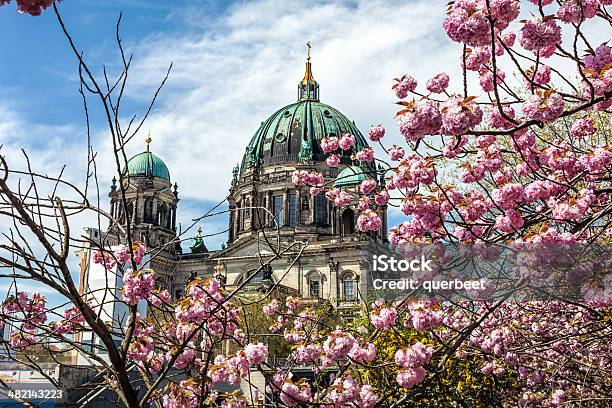 Berliner Dom In Den Frühling Stockfoto und mehr Bilder von Berlin - Berlin, Frühling, Kirschblüte