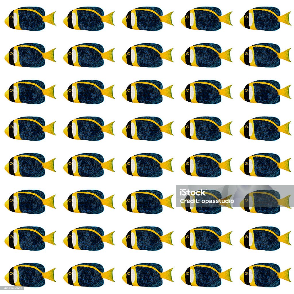 Scribbled Angelfish Pattern Stock Illustration - Download Image Now ...