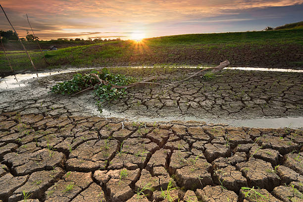istock Dry river on drought parched ground in twilight. 482149718