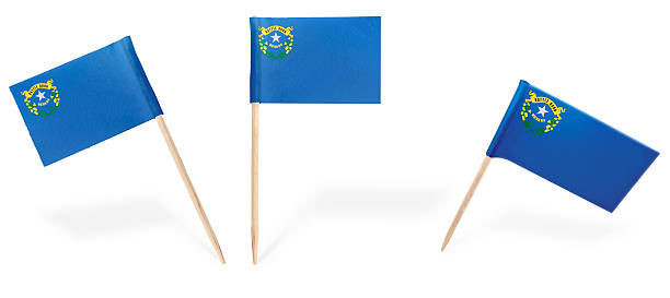istock Various cocktail flags of Nevada isolated on white.(series) 482151632