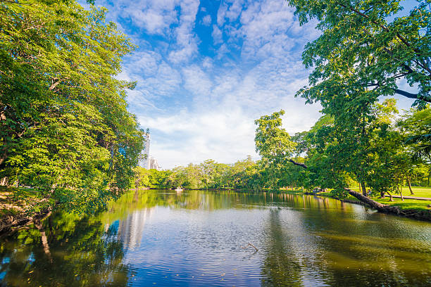 istock Fresh public Park. Lake in the summer. 482155298