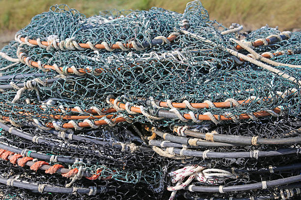 istock tangled fishing nets used by fishermen 482155404