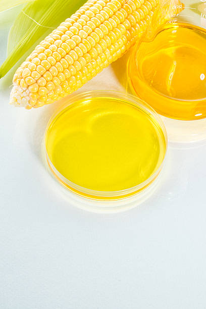 istock Biofuel or Corn Syrup sweetcorn 482156394