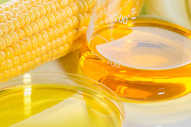 istock Biofuel or Corn Syrup sweetcorn 482156396