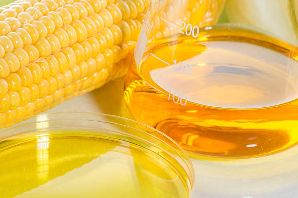 biocombustíveis ou xarope de milho de milho doce - biodiesel imagens e fotografias de stock