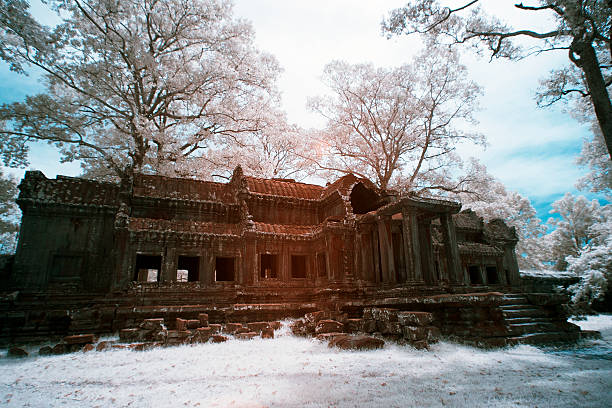 infrarouge à proximité du temple angkor thom, près de siem reap, cambodge - ankor photos et images de collection