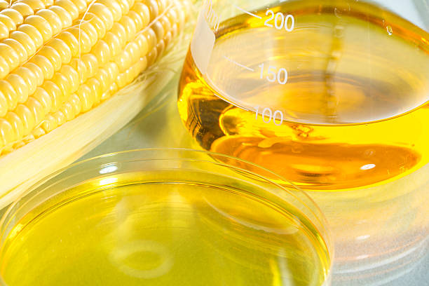 istock Biofuel or Corn Syrup sweetcorn 482157086
