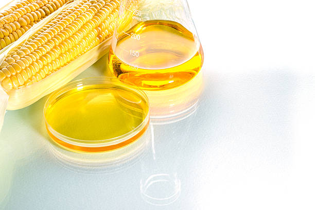 istock Biofuel or Corn Syrup sweetcorn 482157094