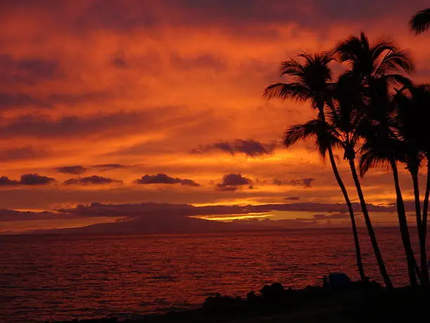 Colorful tropical sunset in Maui.