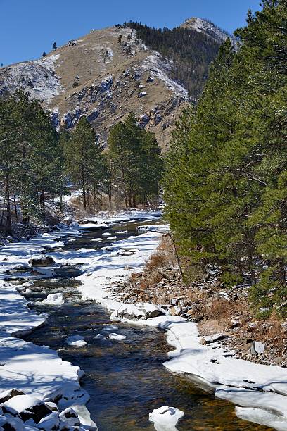istock Poudre River in Winter 482161391