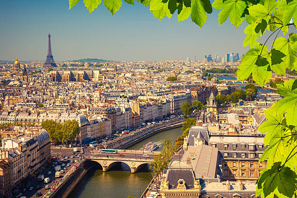 istock Aerial view of Paris 482162742