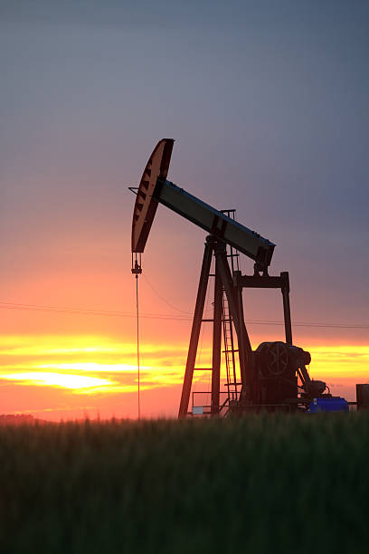 particolare silhouette di pumpjack in alberta oilfield - oil pump oil industry alberta equipment foto e immagini stock