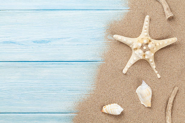 istock Sea sand with starfish and shells on wood 482166334
