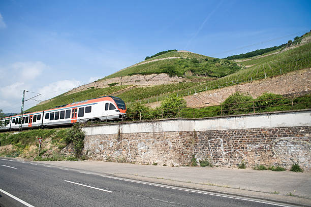 Passenger train driving through Rhine valley, in the background the vineyards of Ruedesheim, Germany. Some minor motion blur