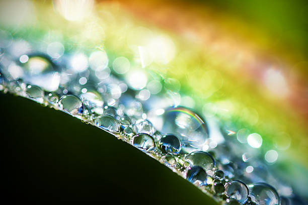 arcobaleno colori chiari di rugiada gocce d'acqua sulla foglia macro - leaf defocused dew focus on foreground foto e immagini stock