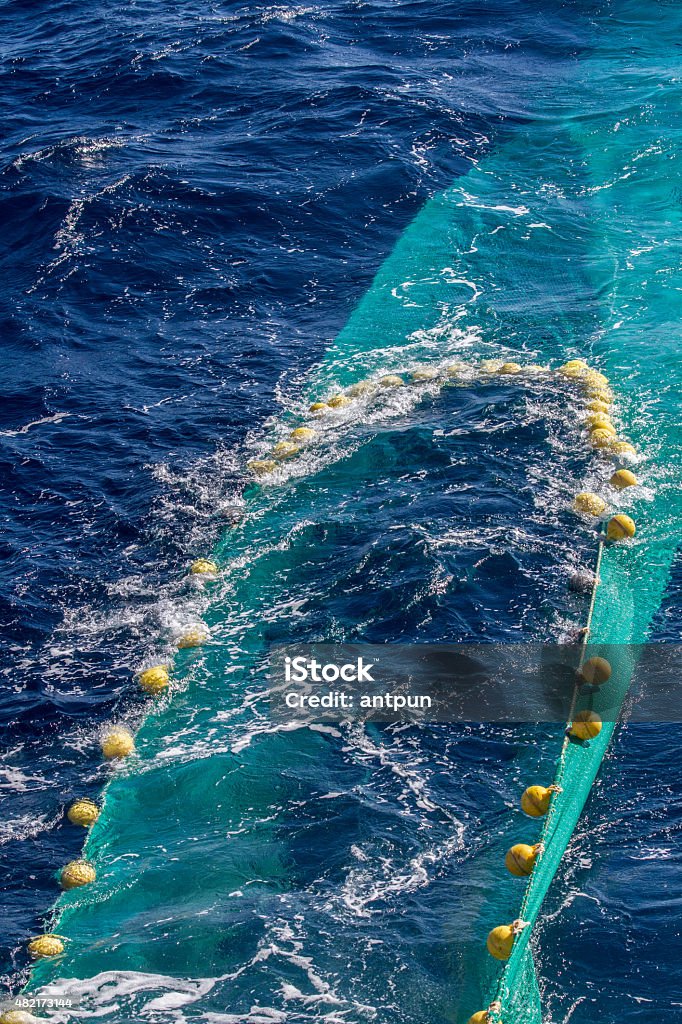 Hauling otter trawl fishing nets on board, Atlantic Sea Hauling otter trawl fishing nets on board, on the Atlantic Sea, Green fishing net and yellow floats Commercial Fishing Net Stock Photo