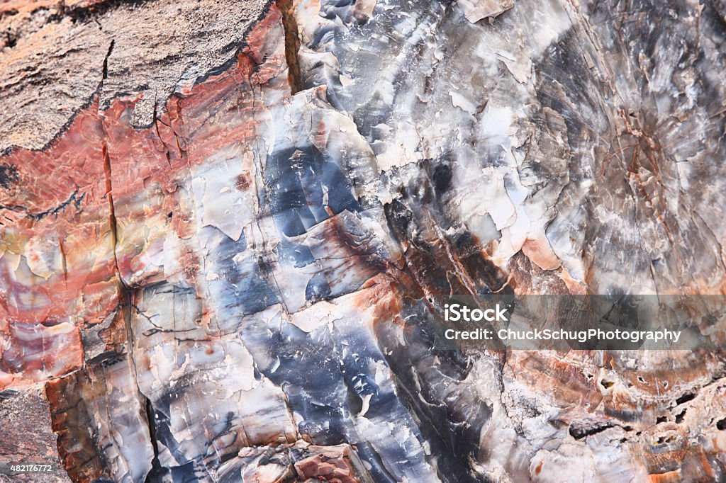 Petrified Wood Fossils Quartz Crystals Rock Strata Stock Photo