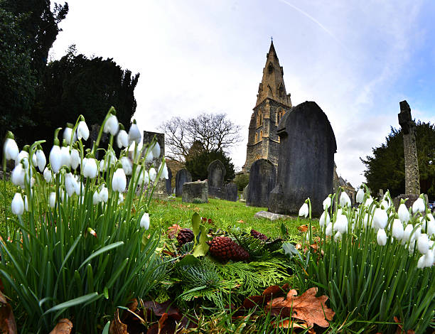 istock Snowdrops in St Marys Churchyard 482177324