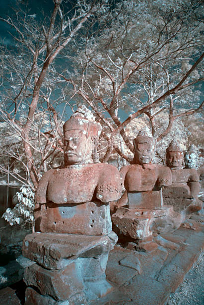 infrarouge à proximité du temple angkor thom, près de siem reap, cambodge - ankor photos et images de collection