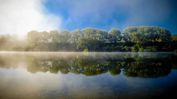 Photo of trees reflecting on water surface. lake karapiro, new zealand