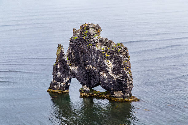 istock Hvitserkur, the troll rock 482184940