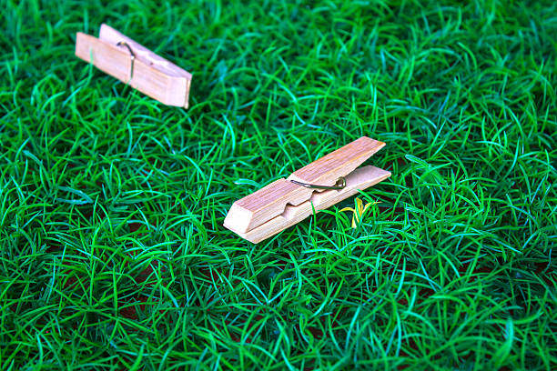 pinza de colgar la ropa fondo de hierba - wooden post wood grass string fotografías e imágenes de stock