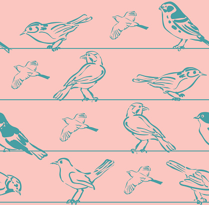 Seamless Set Bird Sketchs