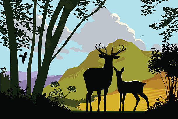 Wild Deer in countryside Landscape with wild deer. eps10 file, CS5 version in zip. doe deer silhouette stock illustrations