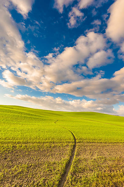 istock Landscape of the setting sun, green field and blue  sky 482194084